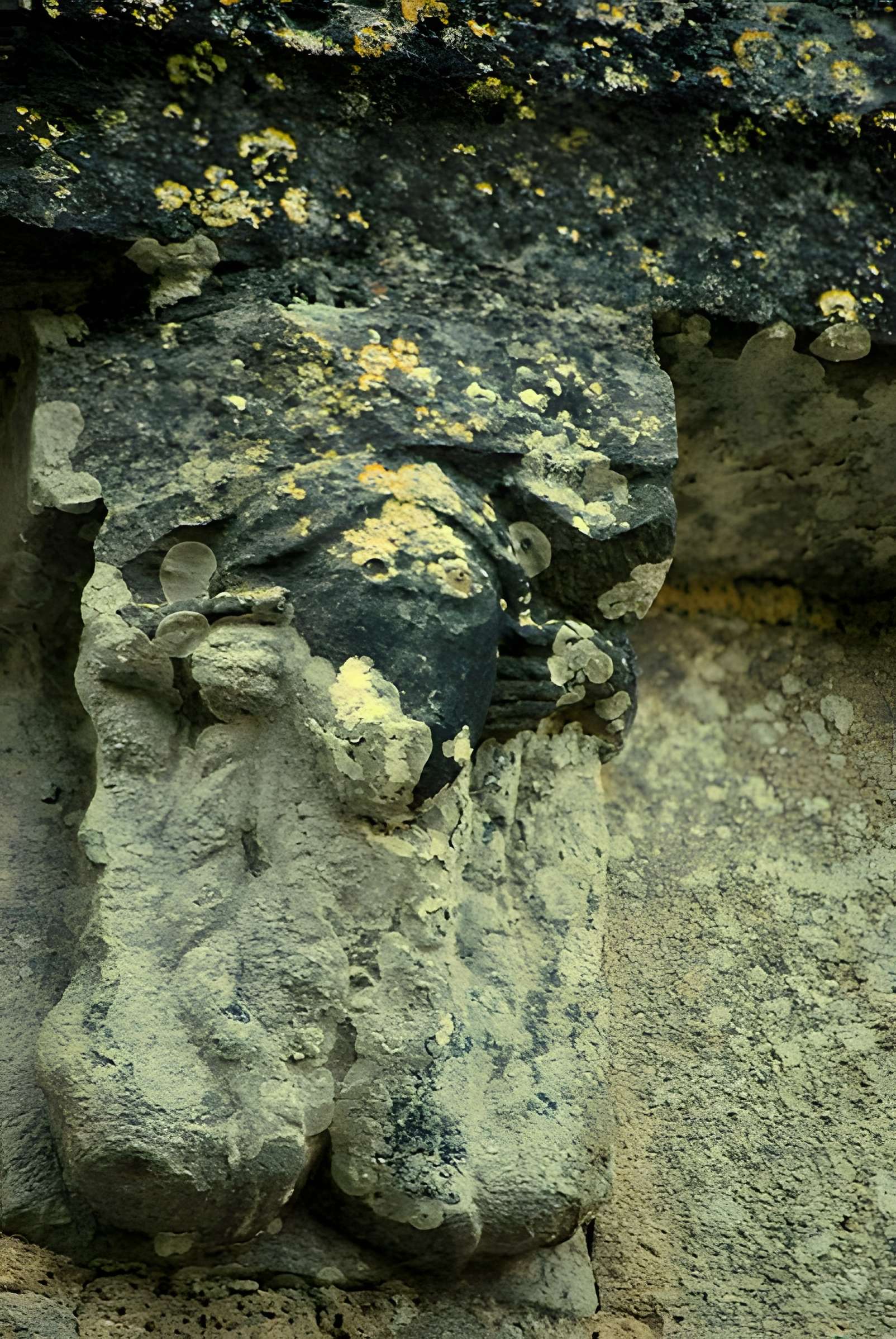 Église Saint-Pallais de Saint-Palais-de-Phiolin