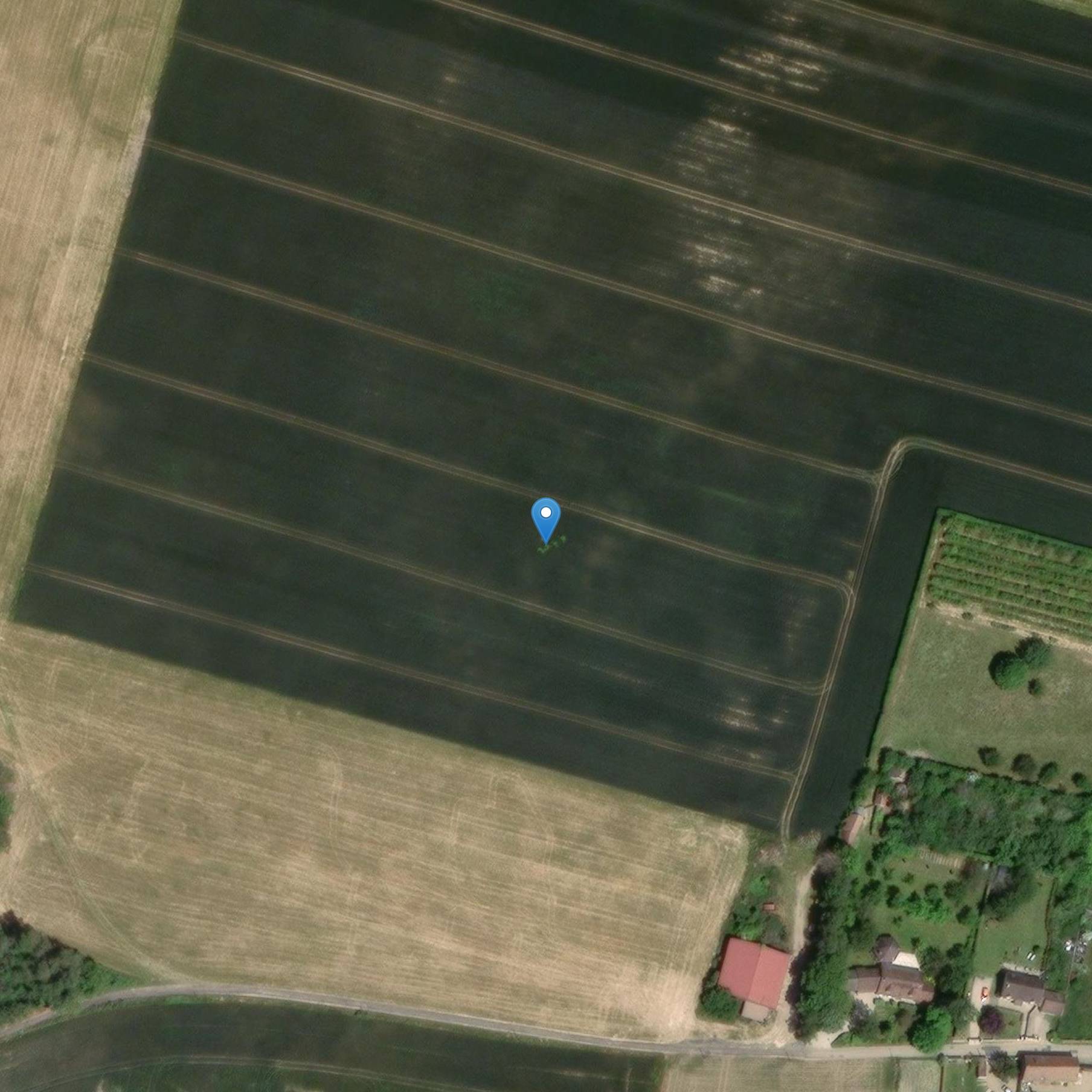 Photo de Sint Nicolaas Kerk