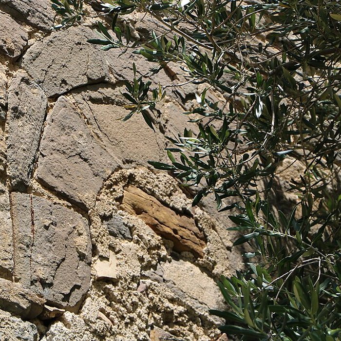 Photo de Église Saint-Paul de Villar-en-Val