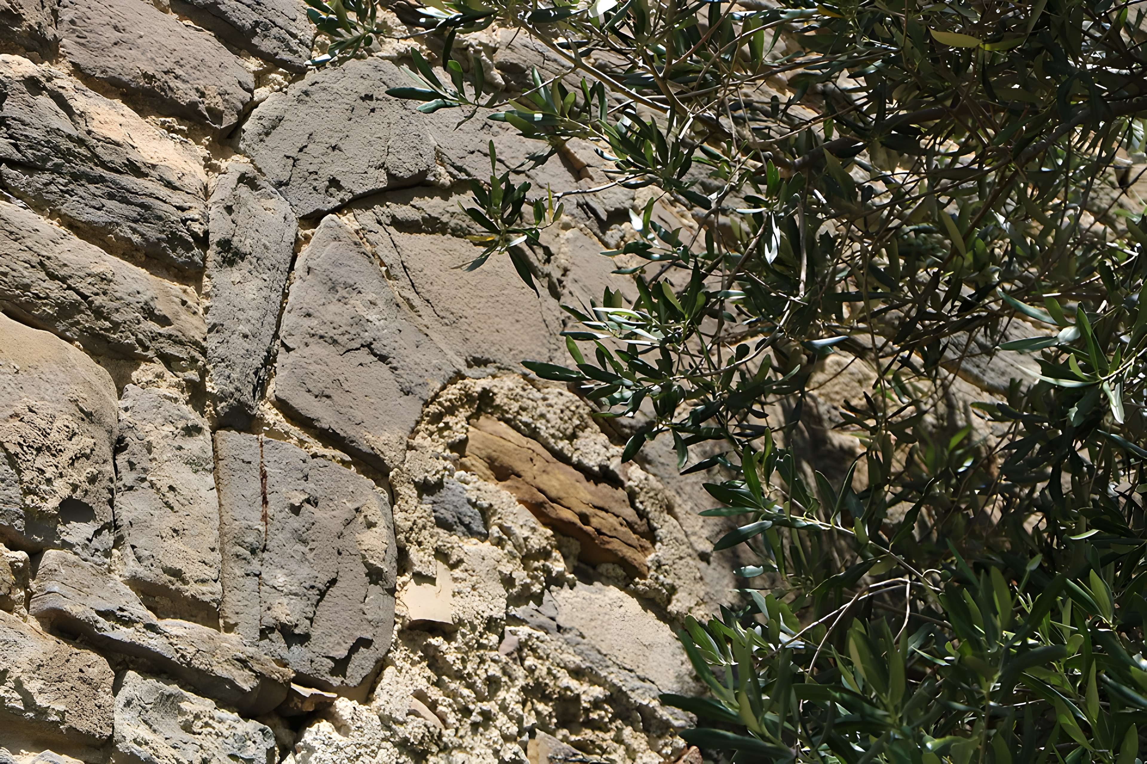 Église Saint-Paul de Villar-en-Val