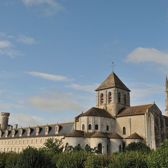 Photo de Abbatiale Saint-Savin-Saint-Cyprien