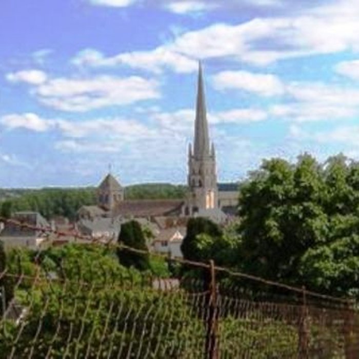 Photo de Abbatiale Saint-Savin-Saint-Cyprien
