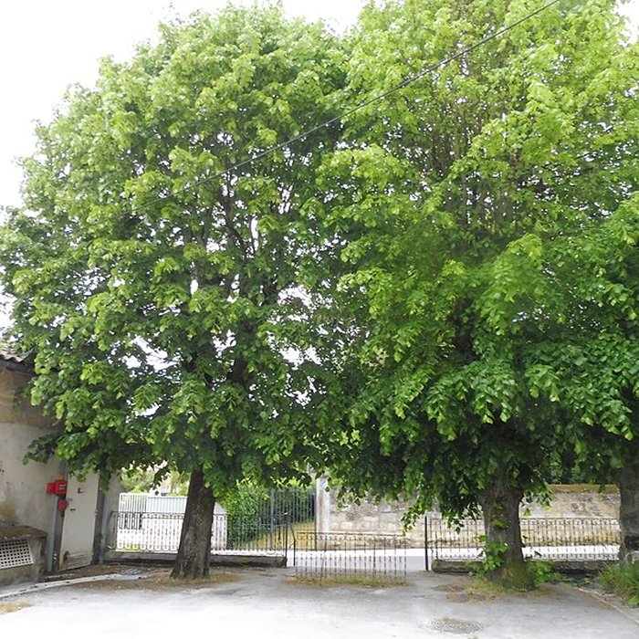 Photo de Église Saint-Pierre de Bruges