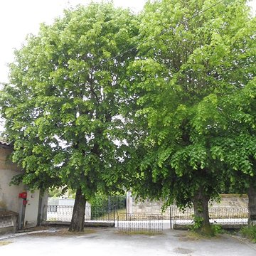 Église Saint-Pierre de Bruges