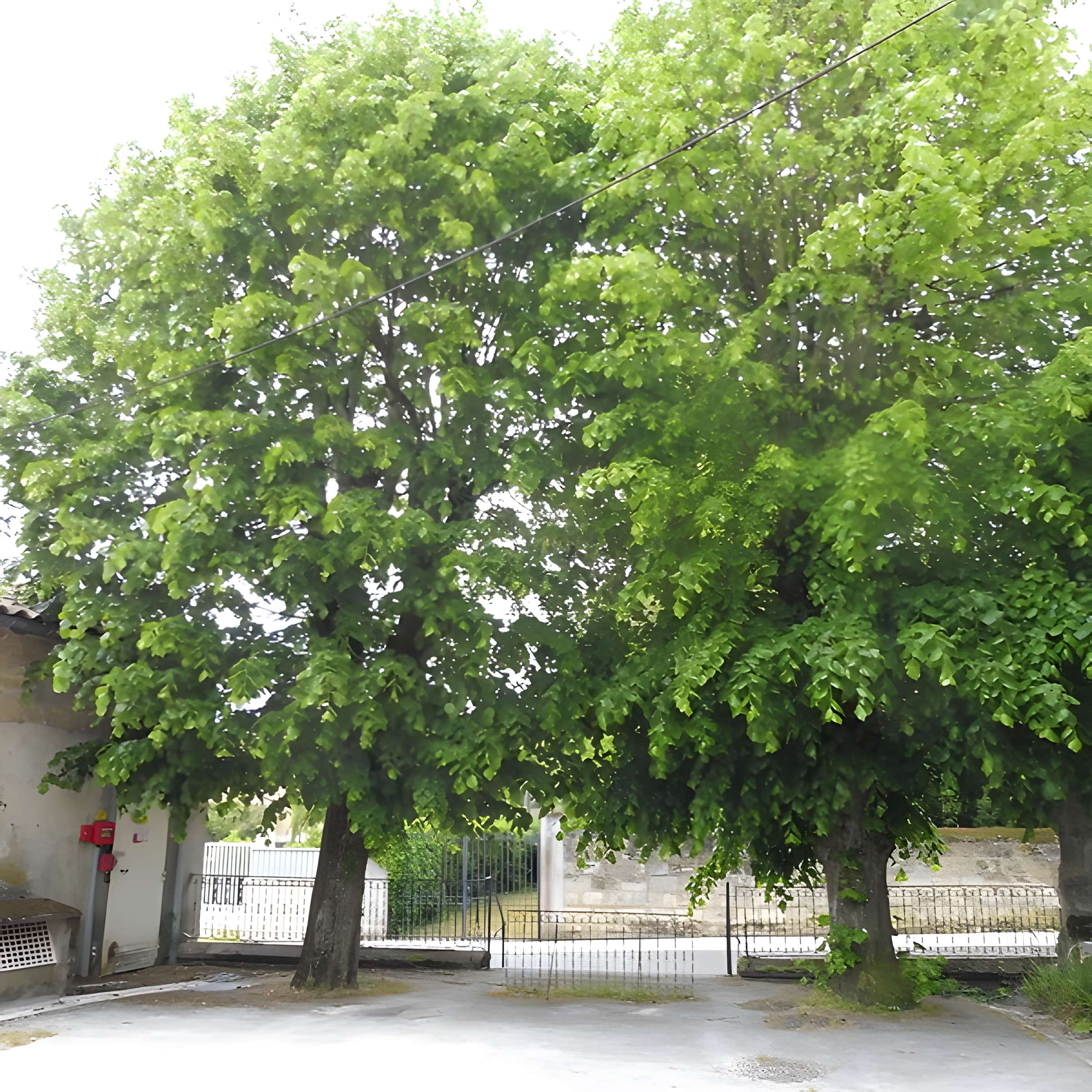 Église Saint-Pierre de Bruges