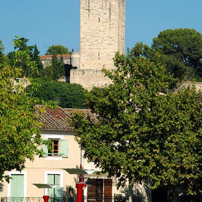 Photo de Château de Sommières