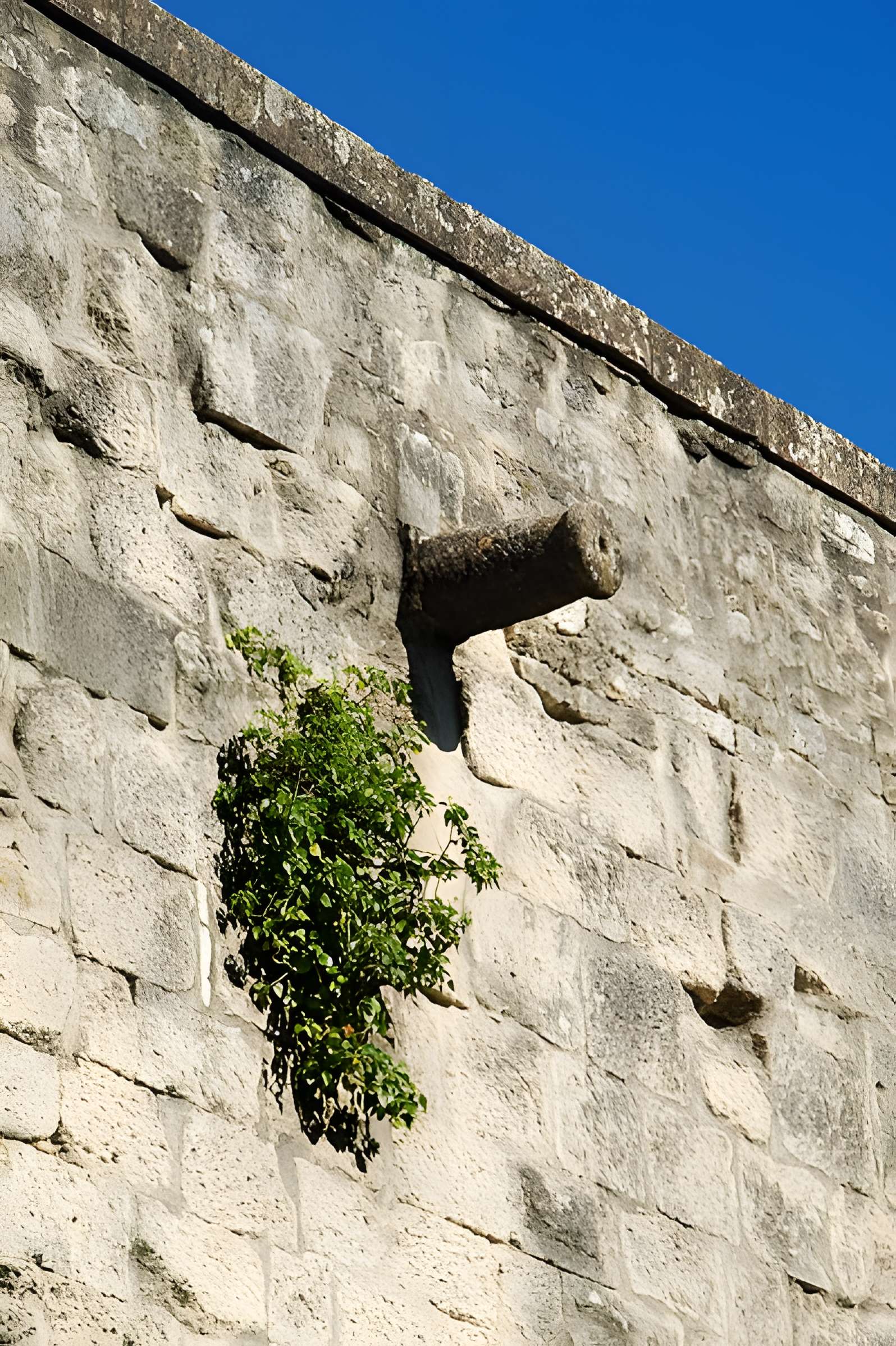 Château de Sommières