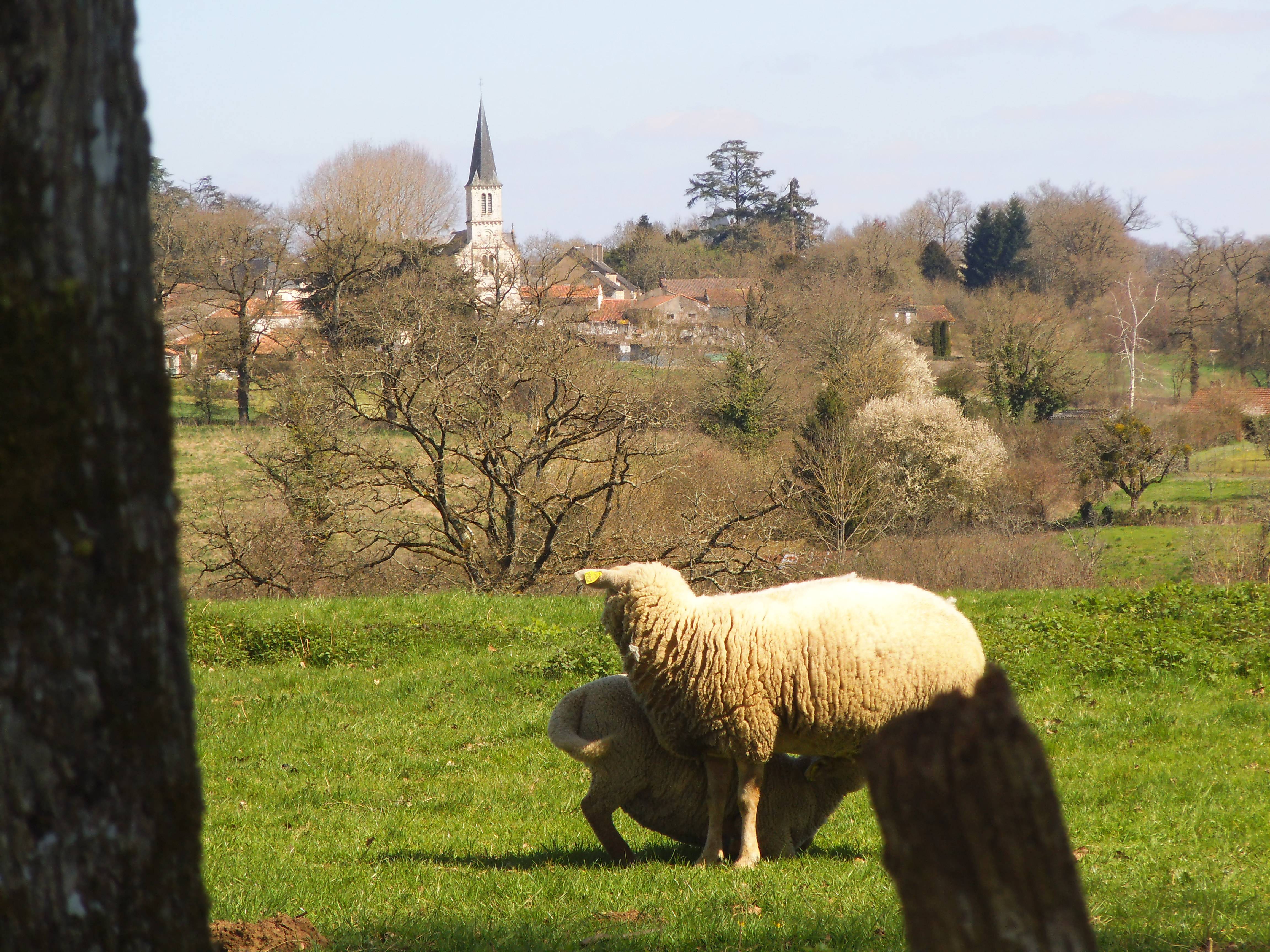 Photo de Chiesa di Sant'Hilaire di Luchapt