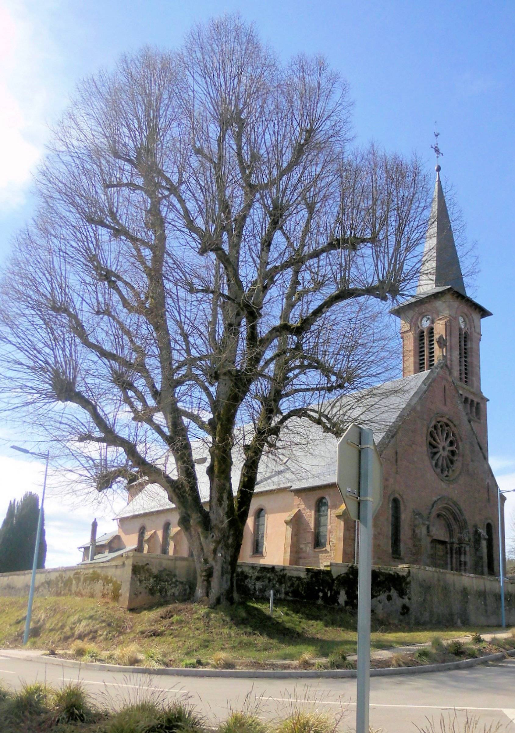 Photo de Iglesia Saint-Grégoire de Launois