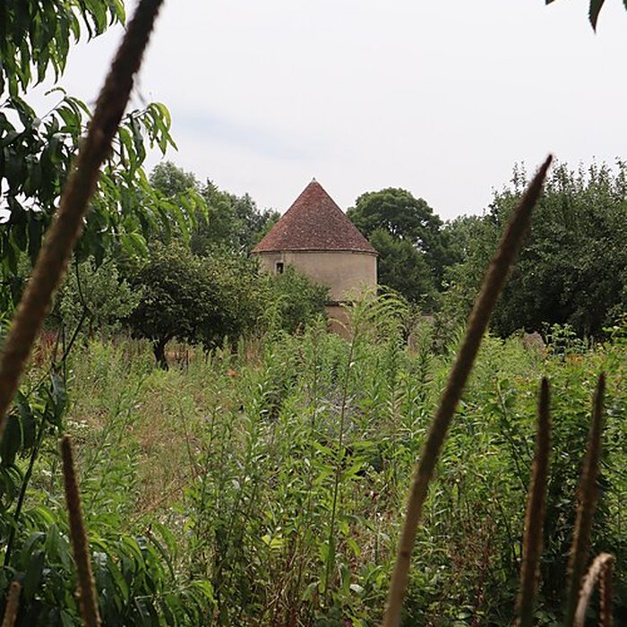 Photo de Château de Sully
