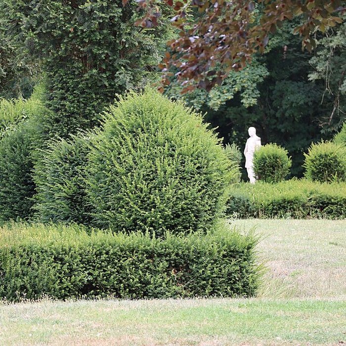 Photo de Château de Sully