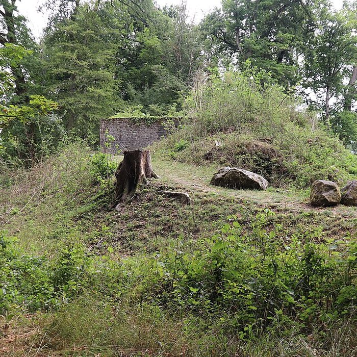 Photo de Château de Sully