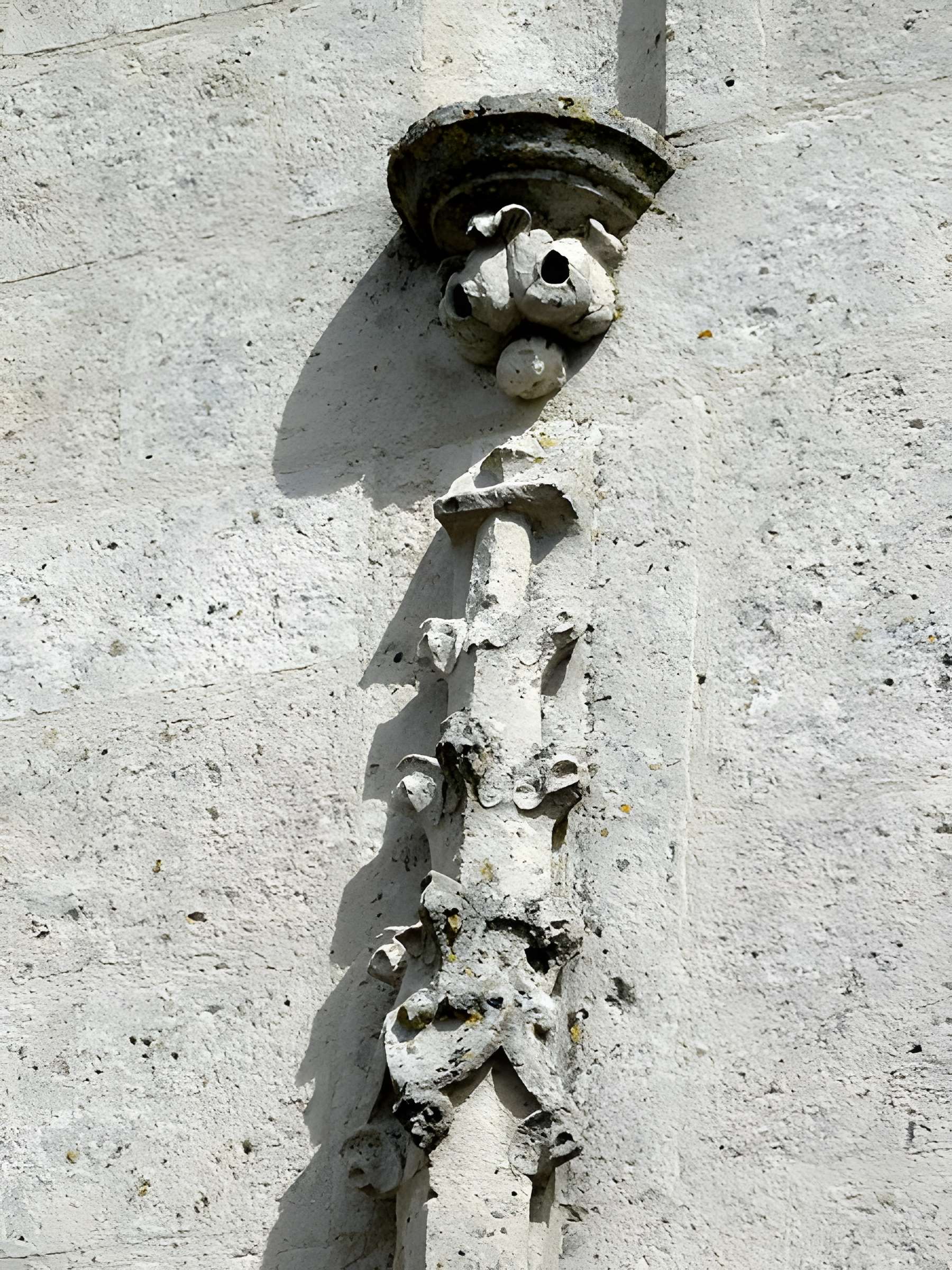 Église Saint-Pierre de Duvy