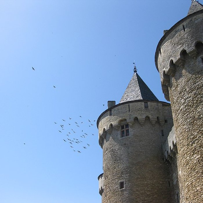 Photo de Château de Suscinio