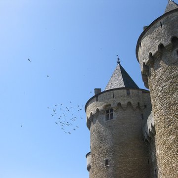 Château de Suscinio