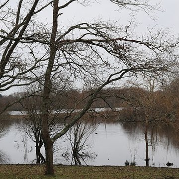 Château de Suscinio