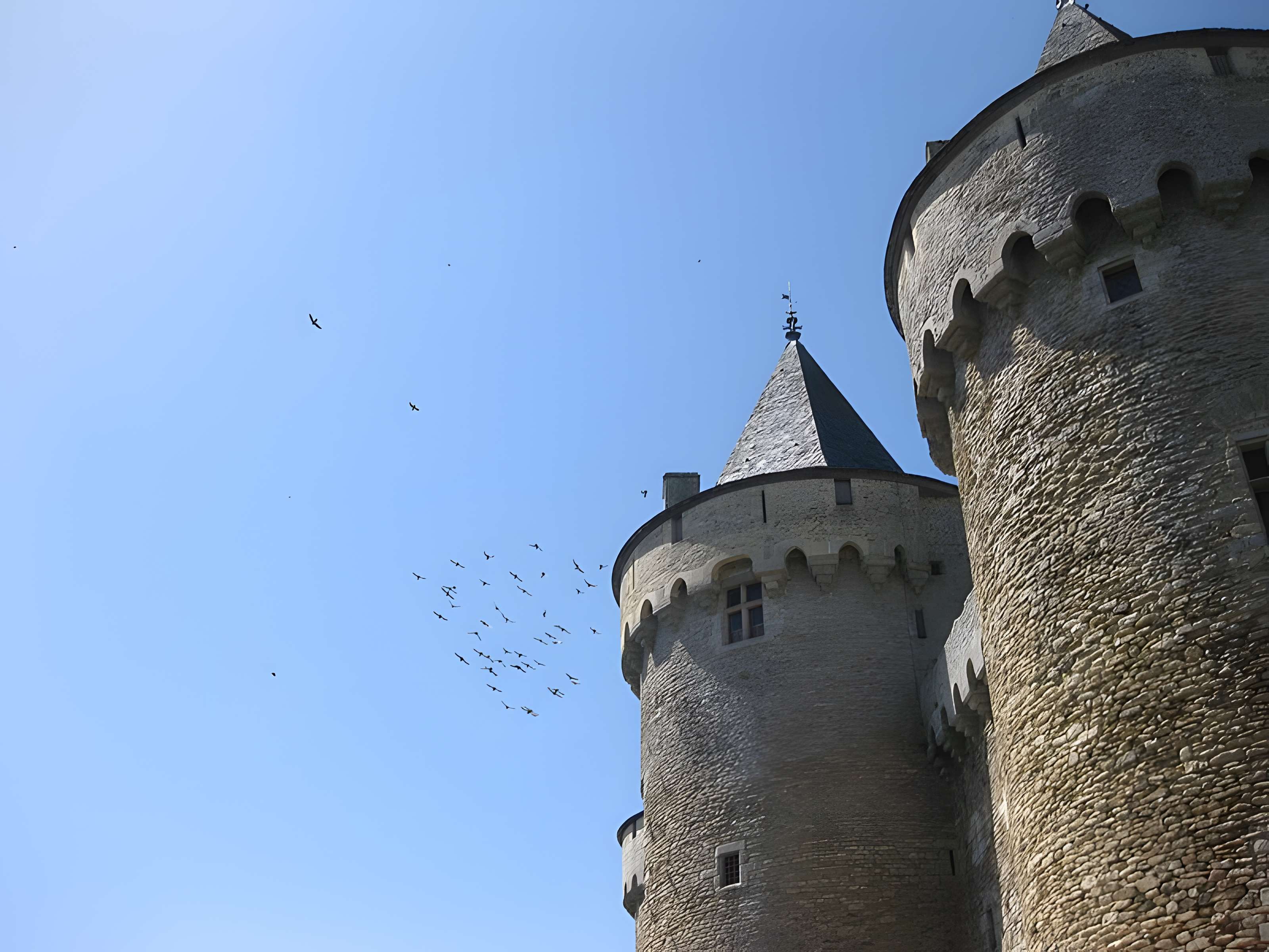 Château de Suscinio