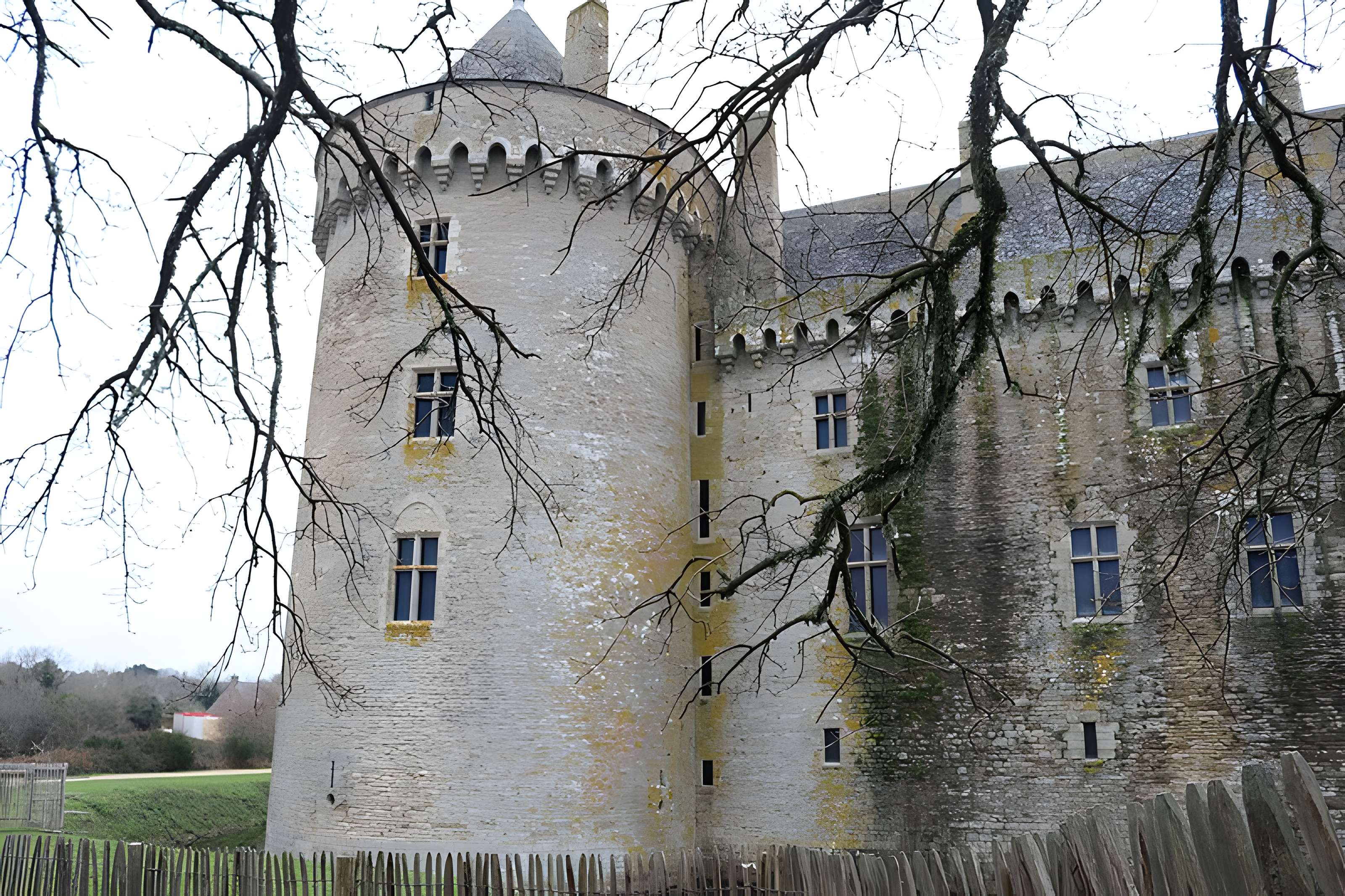 Château de Suscinio