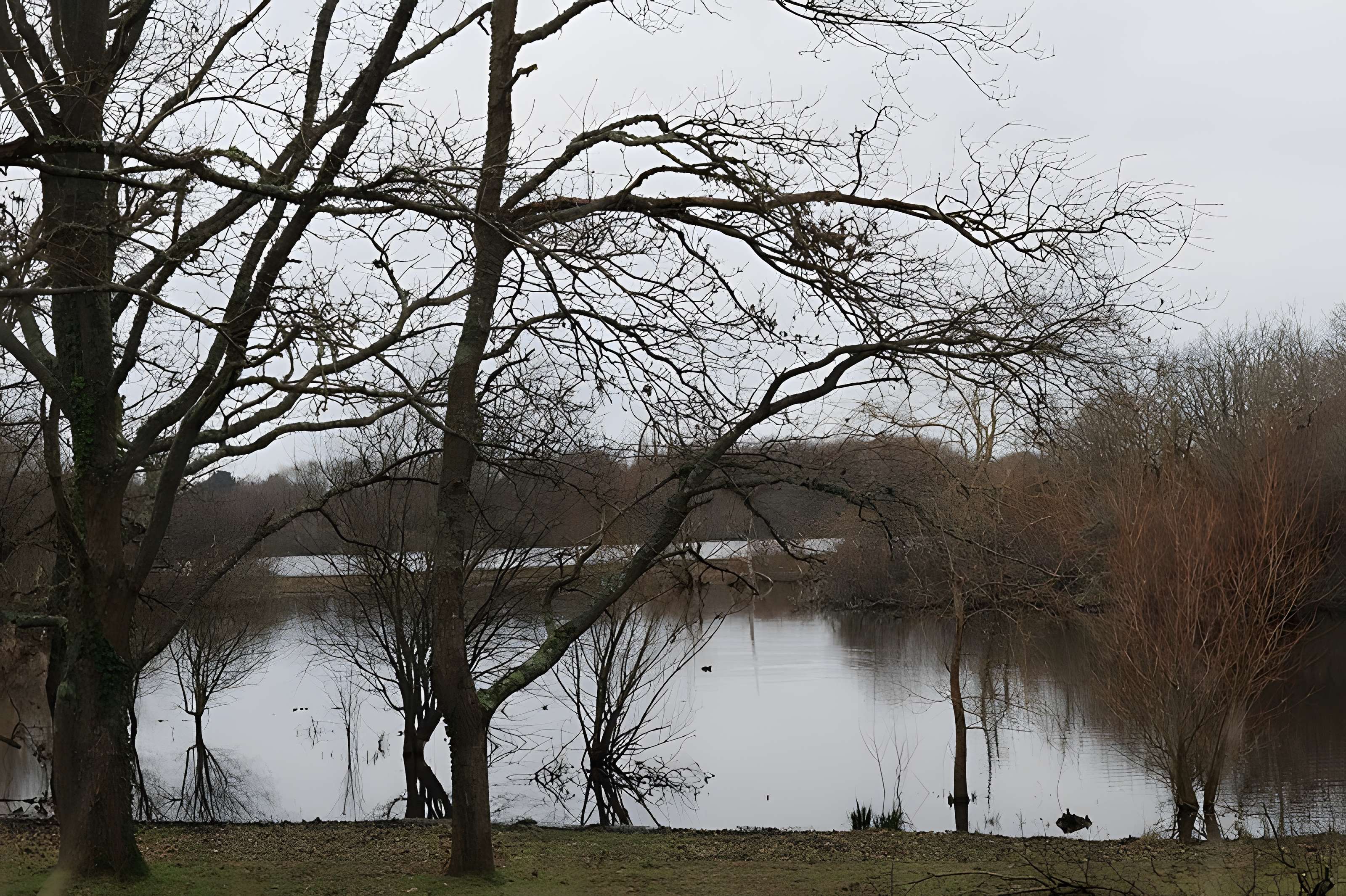 Château de Suscinio
