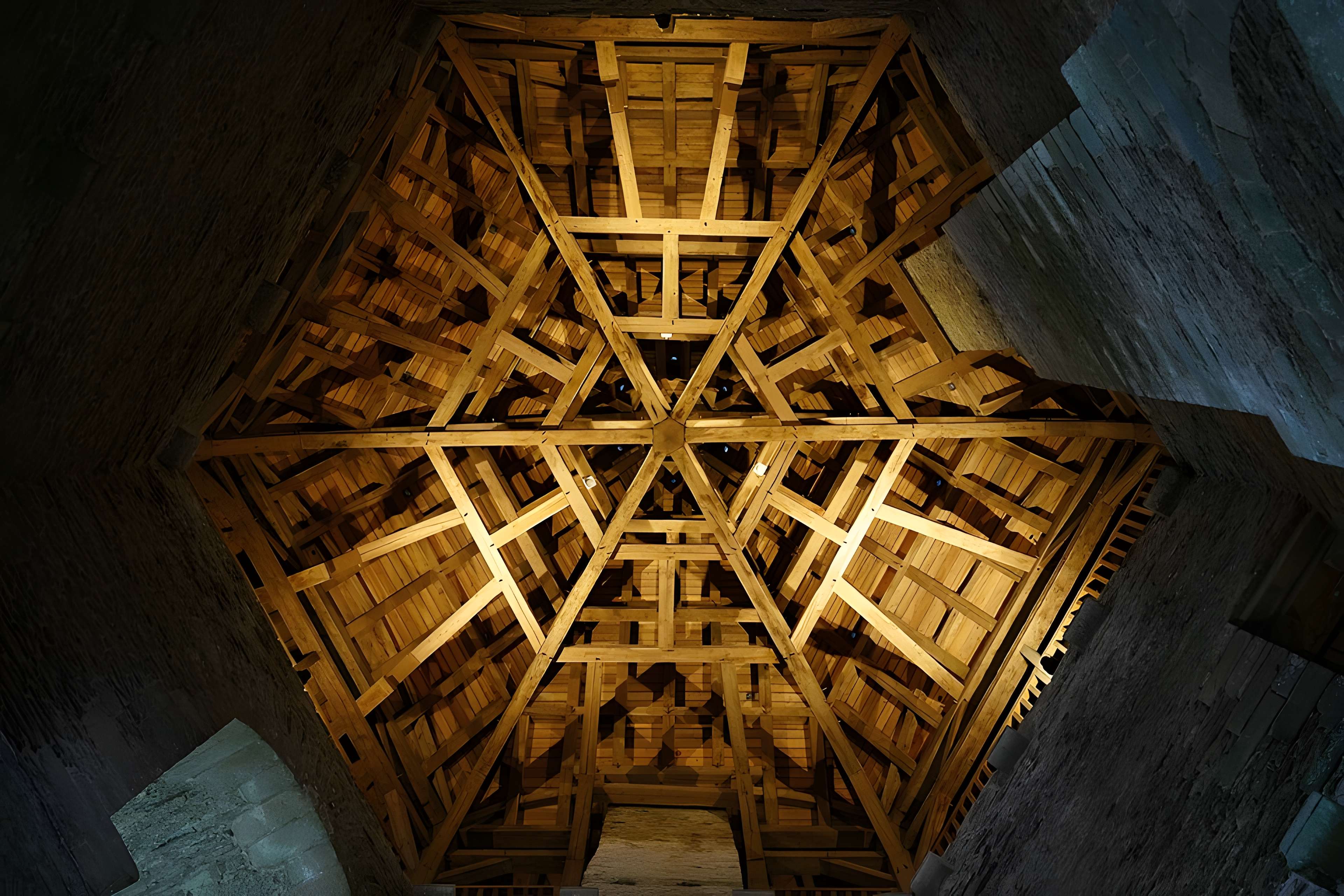 Château de Suscinio