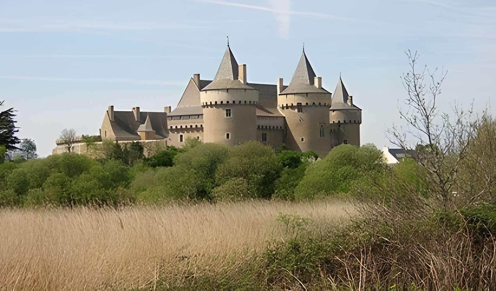 Château de Suscinio 