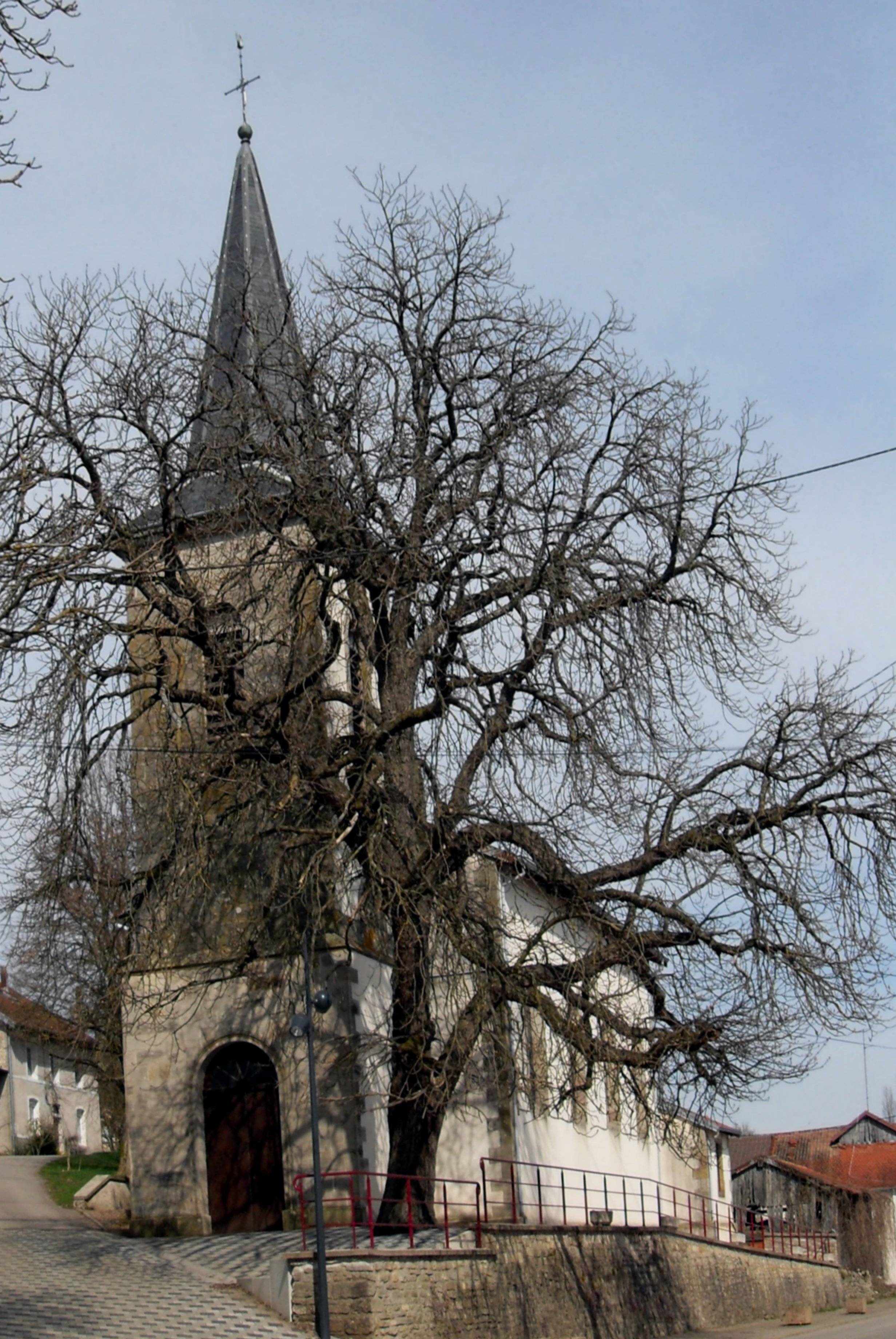 Photo de Saint-Sylvestre Kerk van Villoncourt