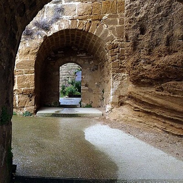Photo de Château de Suze-la-Rousse