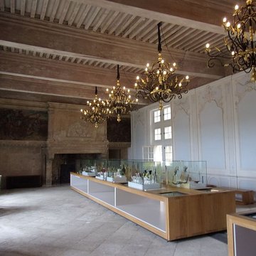 Château de Suze-la-Rousse