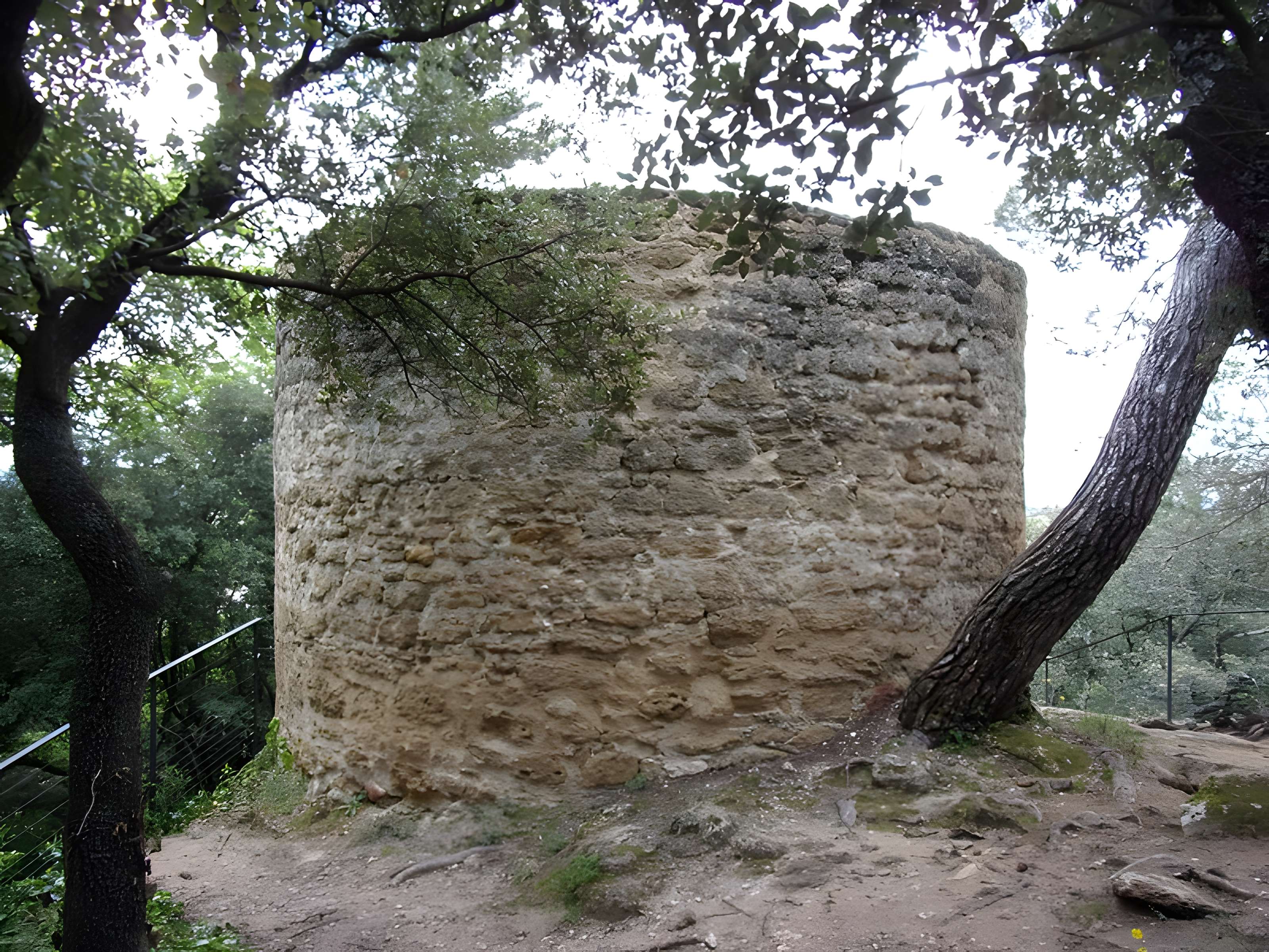 Château de Suze-la-Rousse