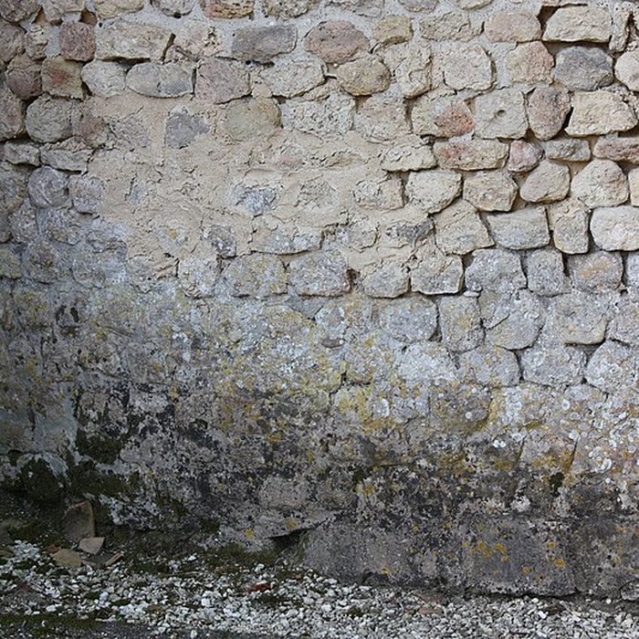 Photo de Église Saint-Pierre de Loupiac