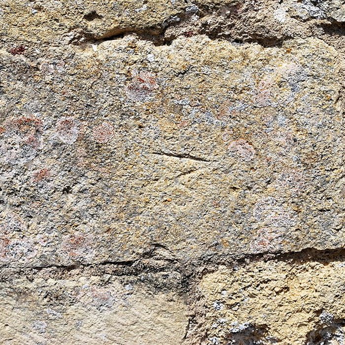 Photo de Église Saint-Pierre de Martres