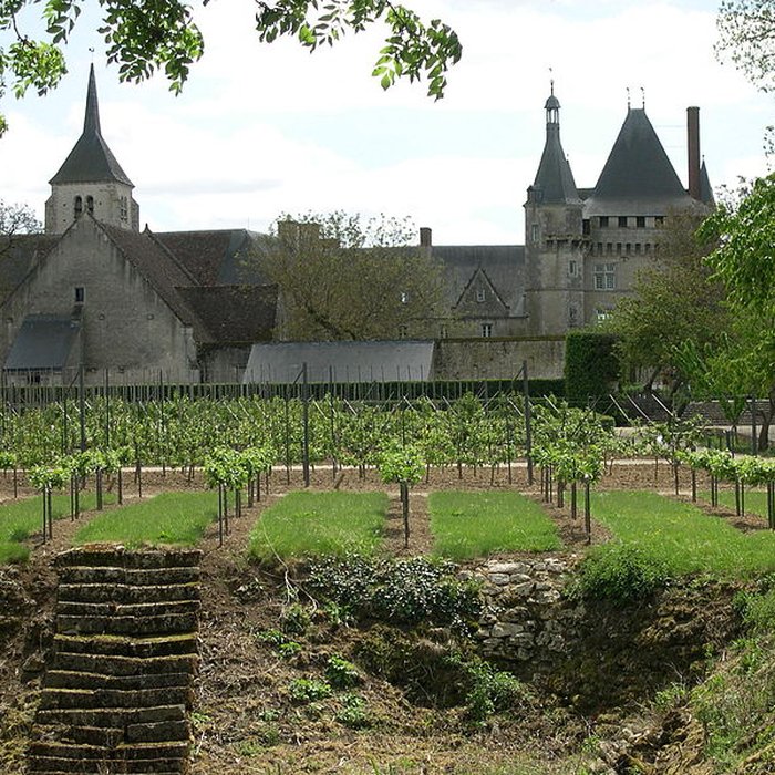 Photo de Château de Talcy