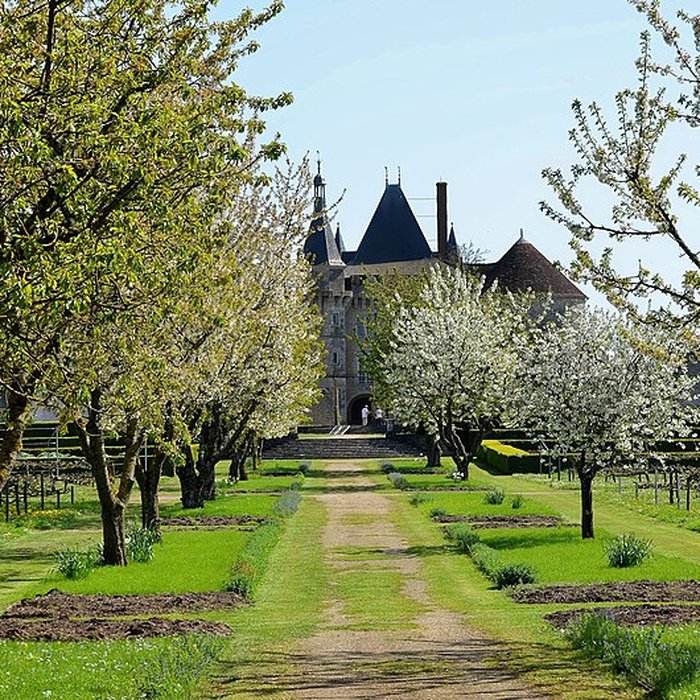 Photo de Château de Talcy