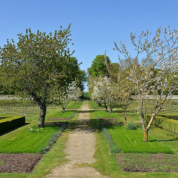 Photo de Château de Talcy