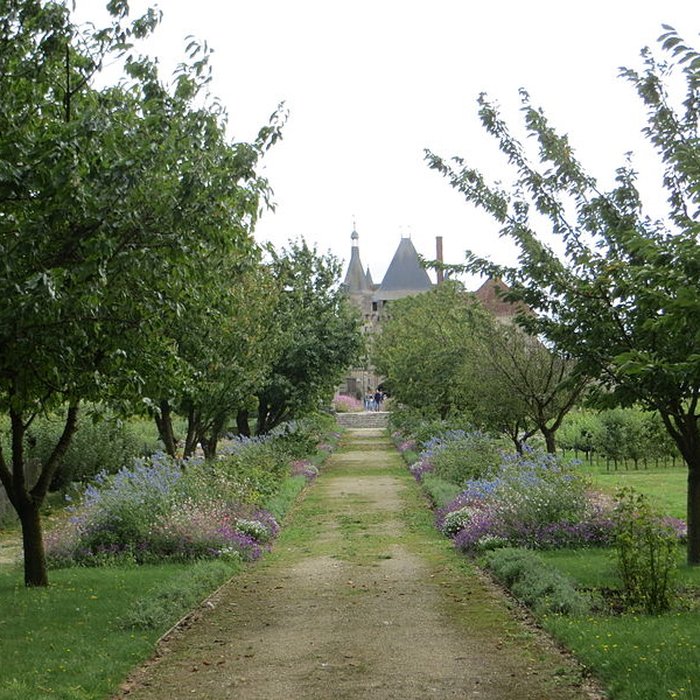 Photo de Château de Talcy