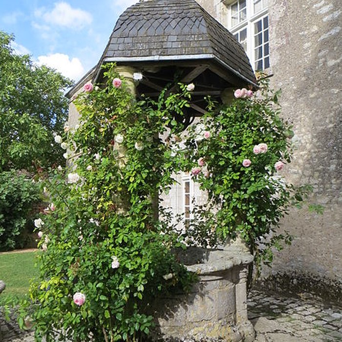 Photo de Château de Talcy