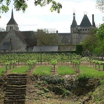 Château de Talcy