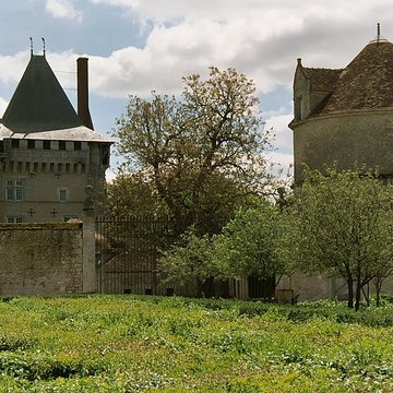 Château de Talcy