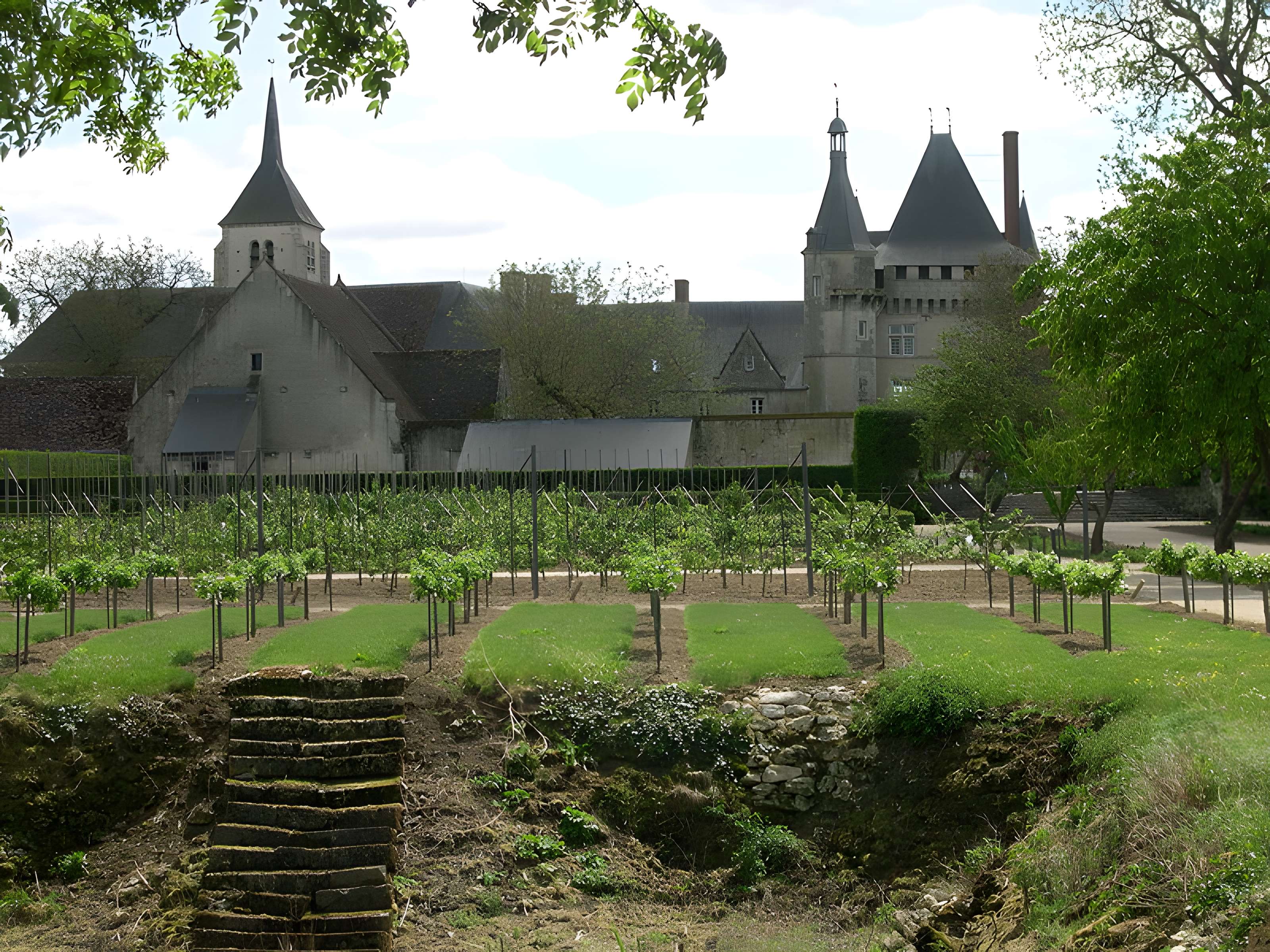 Château de Talcy