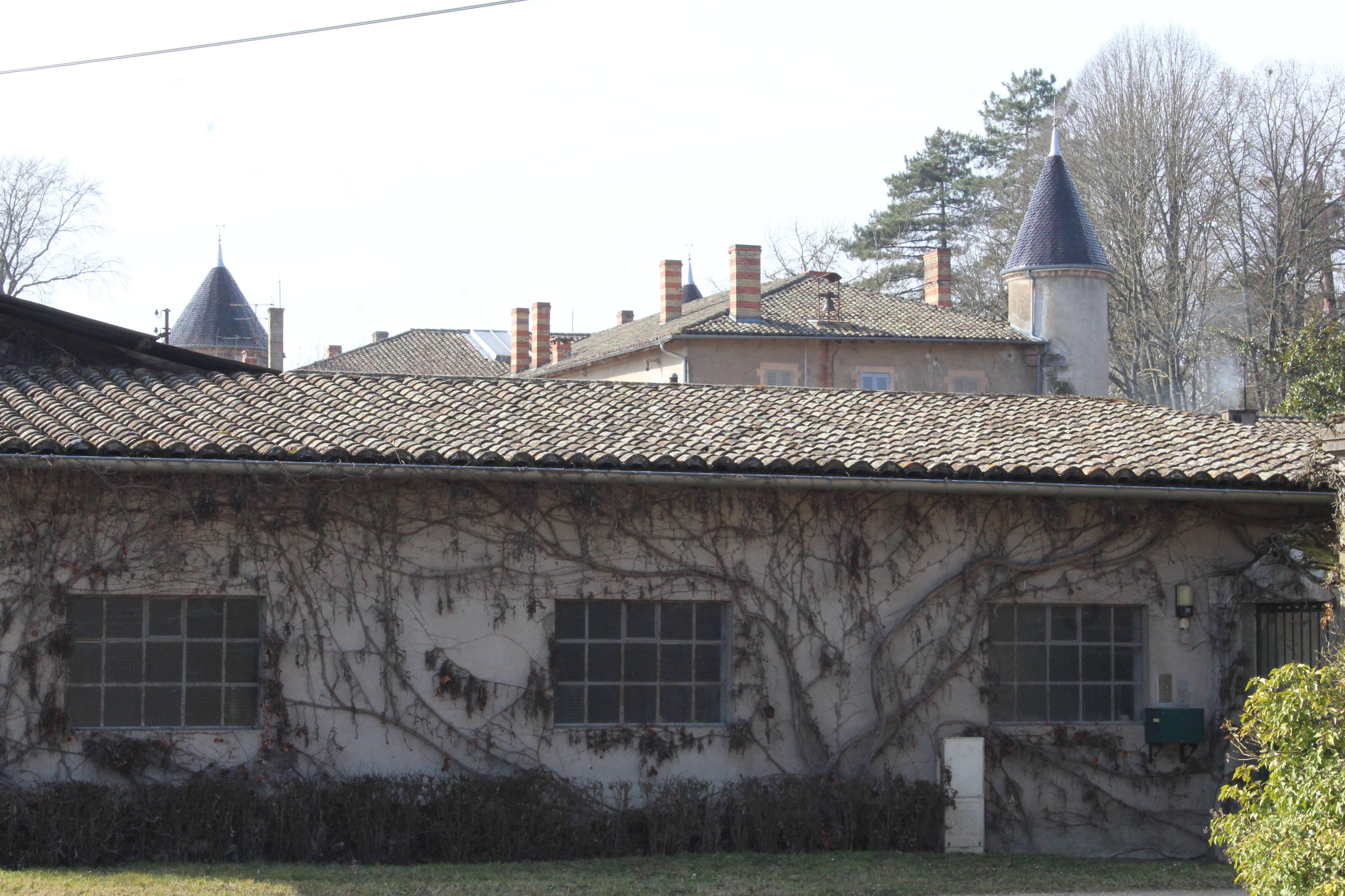 Photo de Château de l'Aumusse