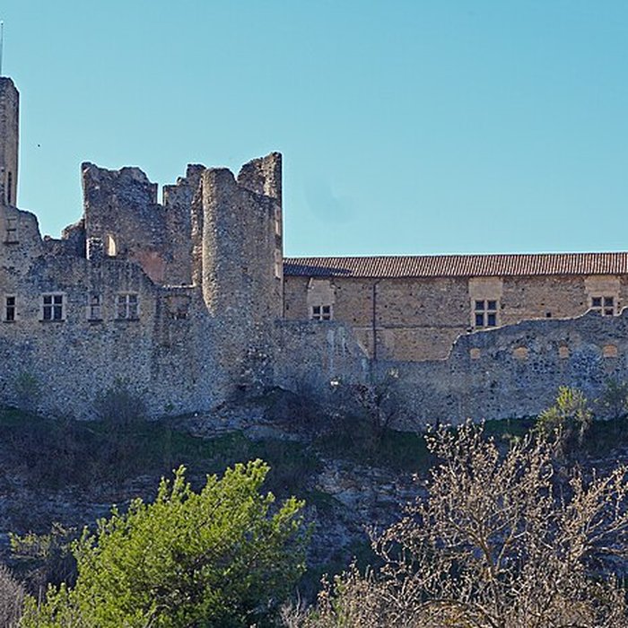 Photo de Château de Tallard