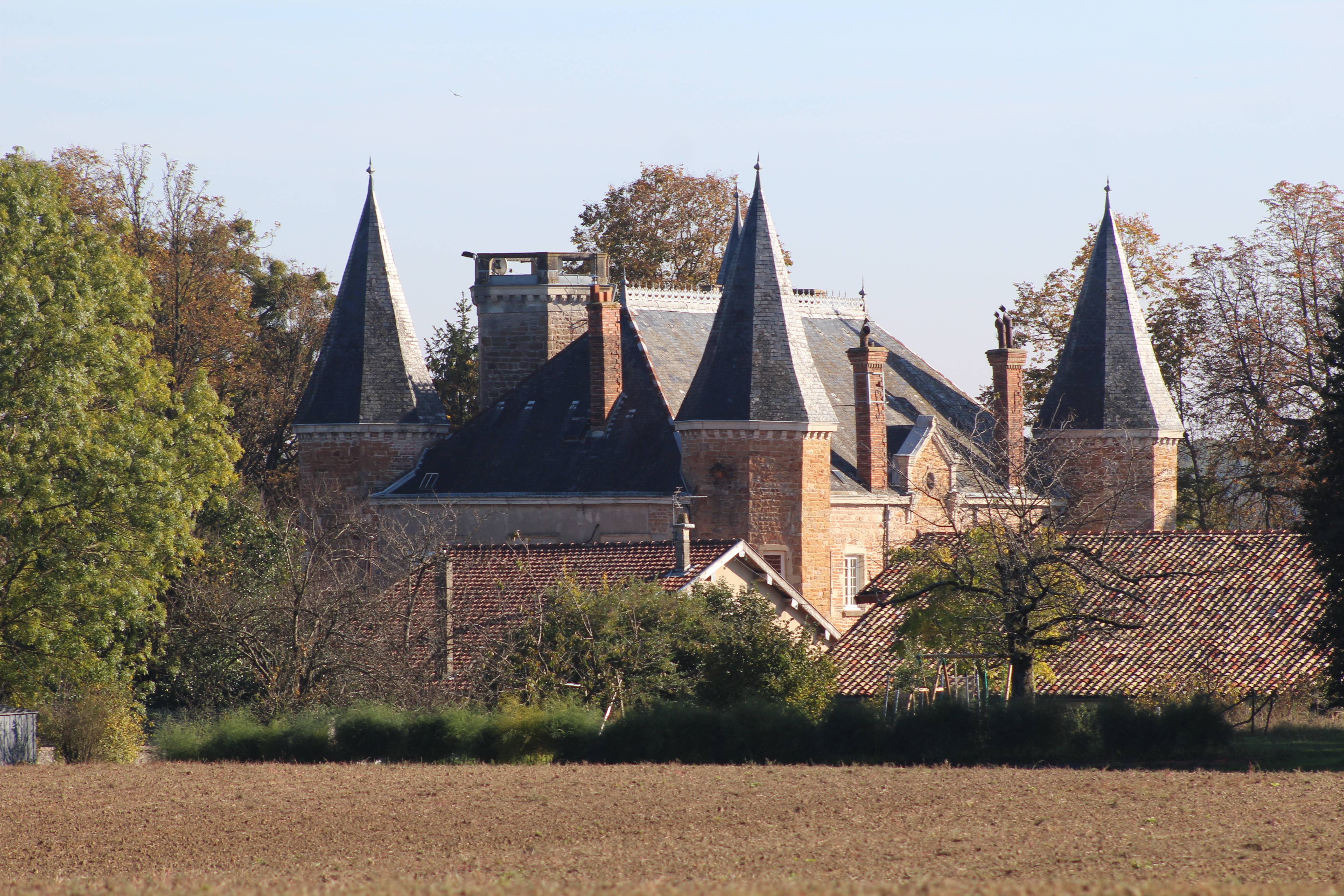 Photo de Château de la Griffonnière
