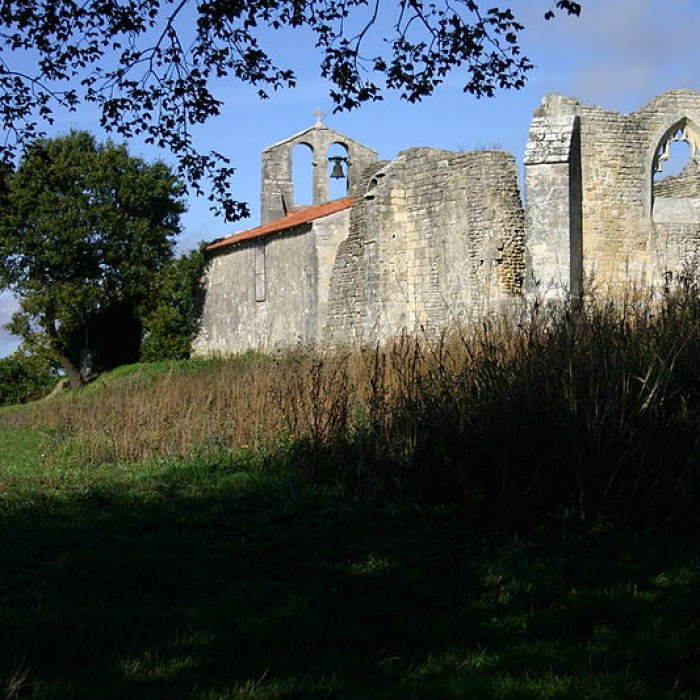 Photo de Église Saint-Pierre de Puyrolland