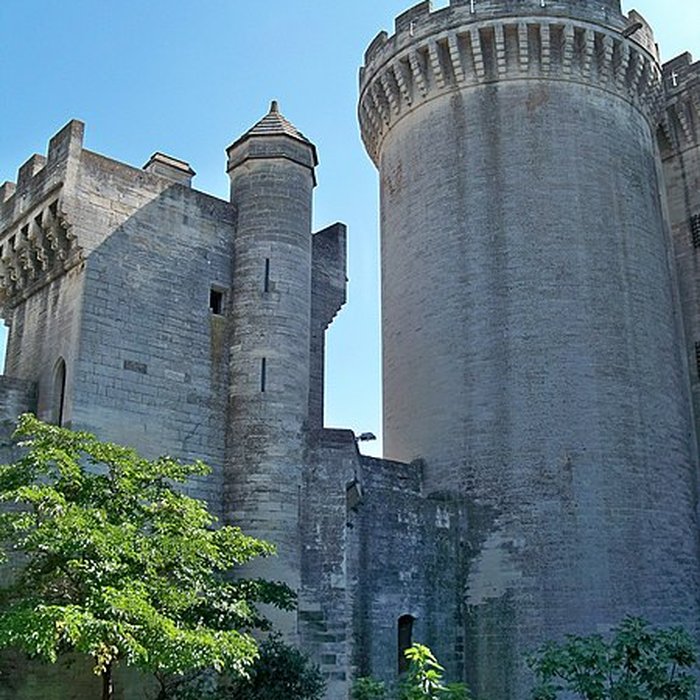 Photo de Château de Tarascon
