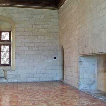 Château de Tarascon