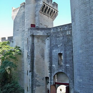 Château de Tarascon