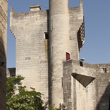 Château de Tarascon