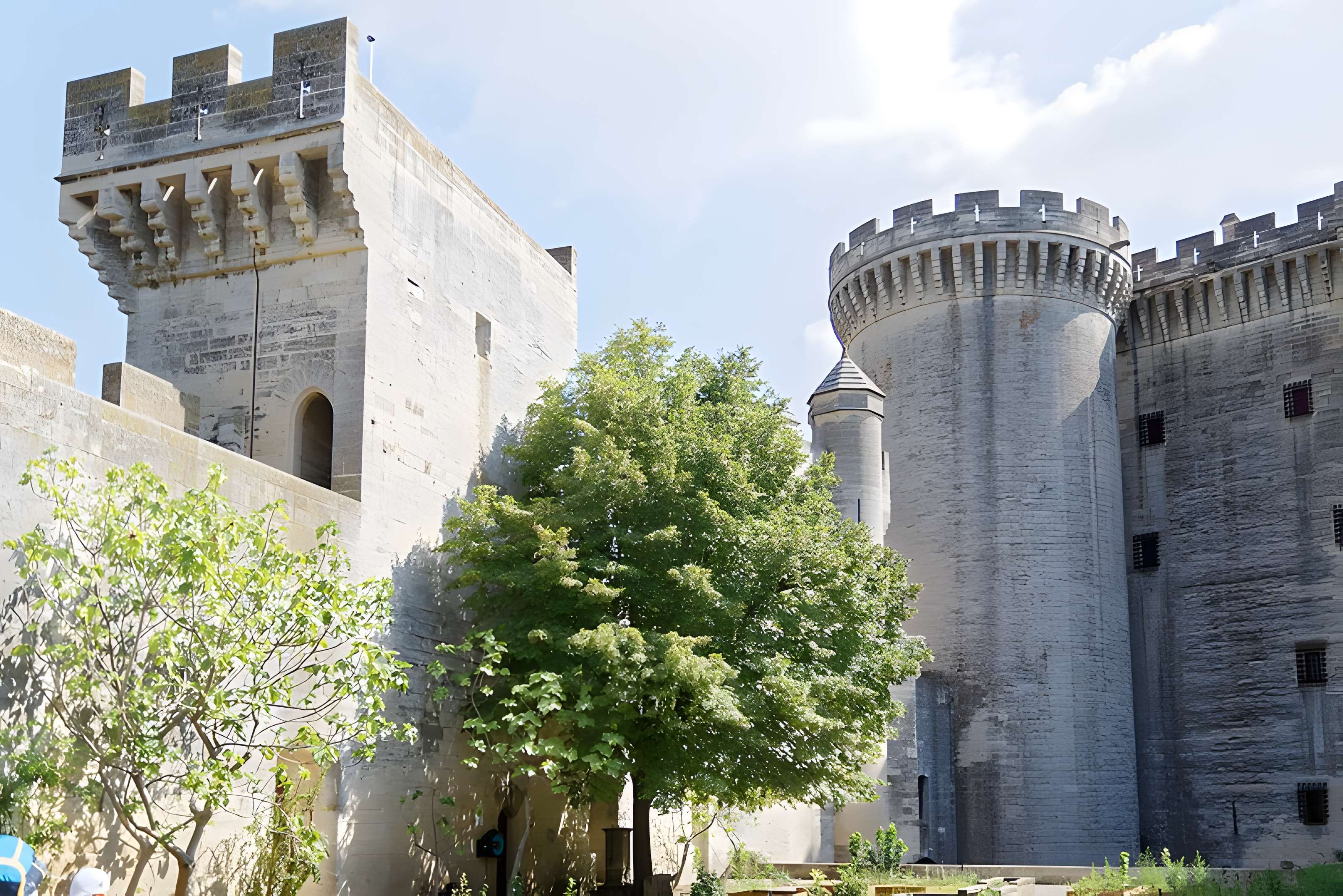Château de Tarascon