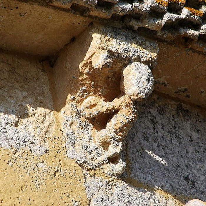 Photo de Église Saint-Pierre de Saint-Pierre-de-Bat