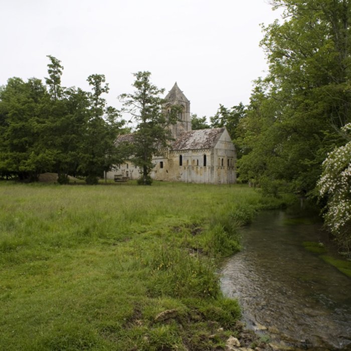 Photo de Église Saint-Pierre de Thaon